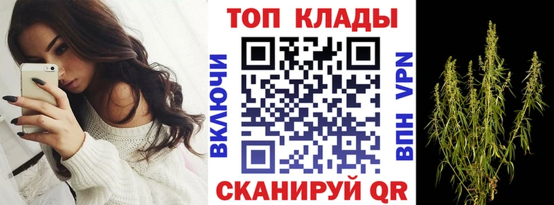 Где найти наркотики Новосиль А ПВП  Галлюциногенные грибы  Гашиш  Меф 