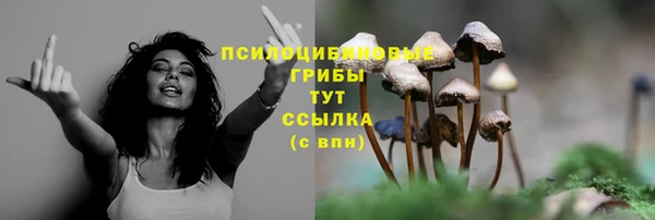 бутират Алзамай