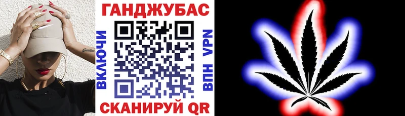 купить наркотики цена  ОМГ ОМГ ссылки  Конопля гибрид  Новосиль 